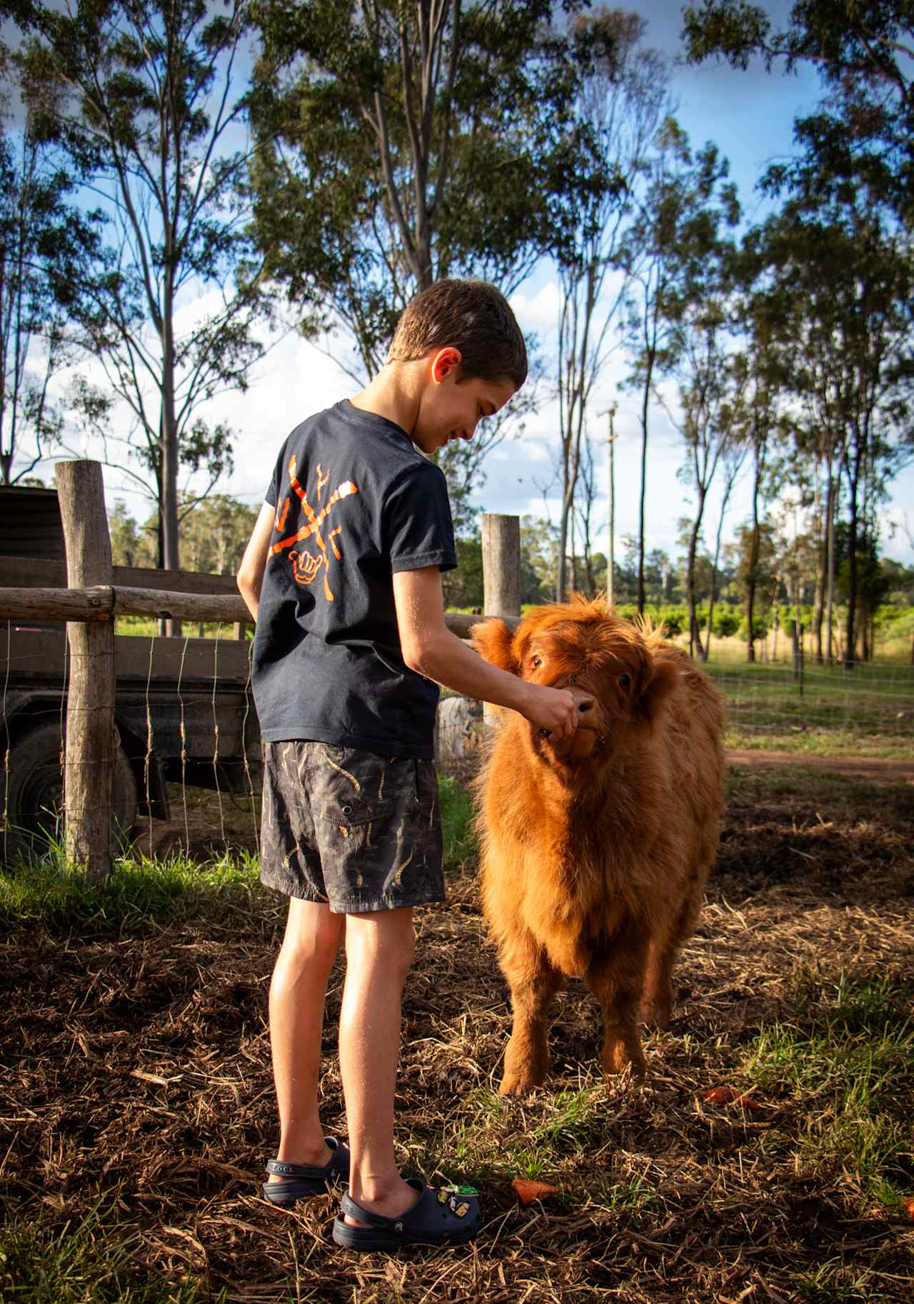 Animal feeding happens twice a day accompanied by camp host Chrissy and Duane. 