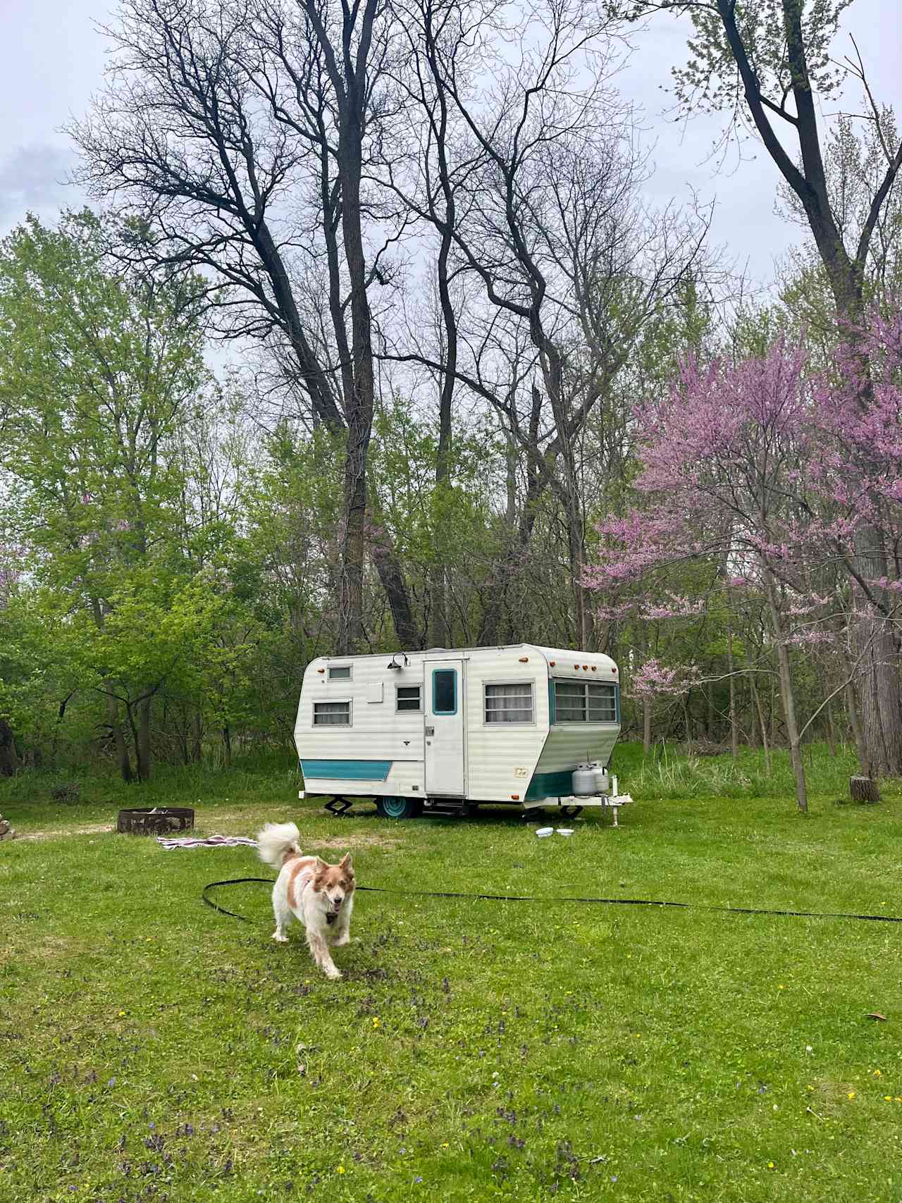 The Haven with 4 Camp sites