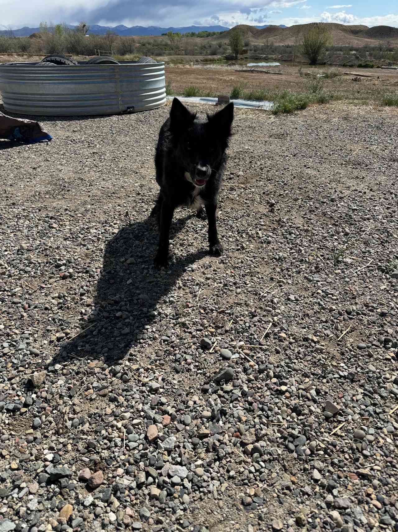 Bear Family Ranch RV and Camping