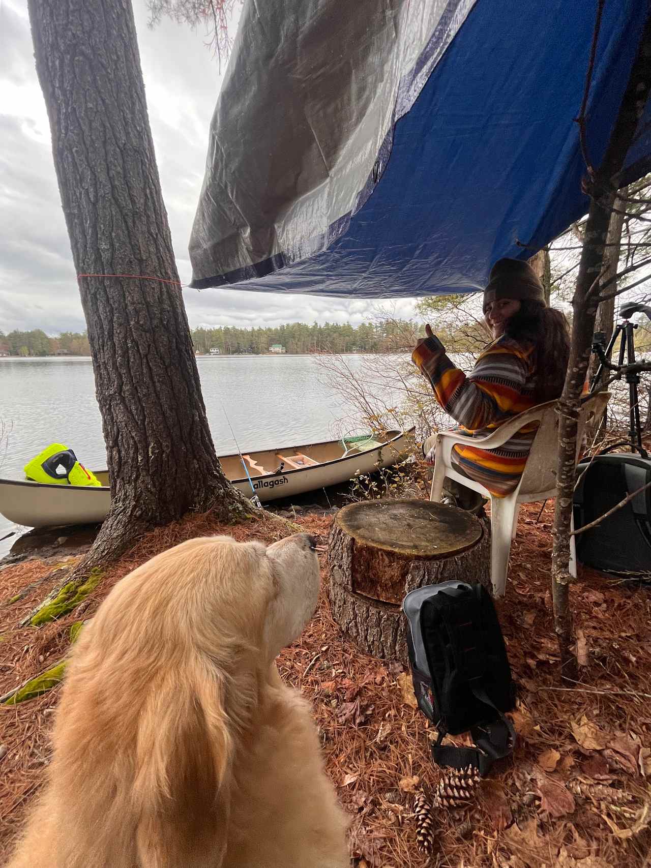 Duncan Lake Island