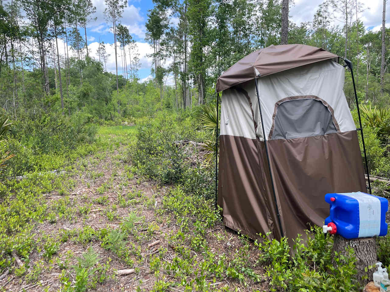 Florida Wildlands