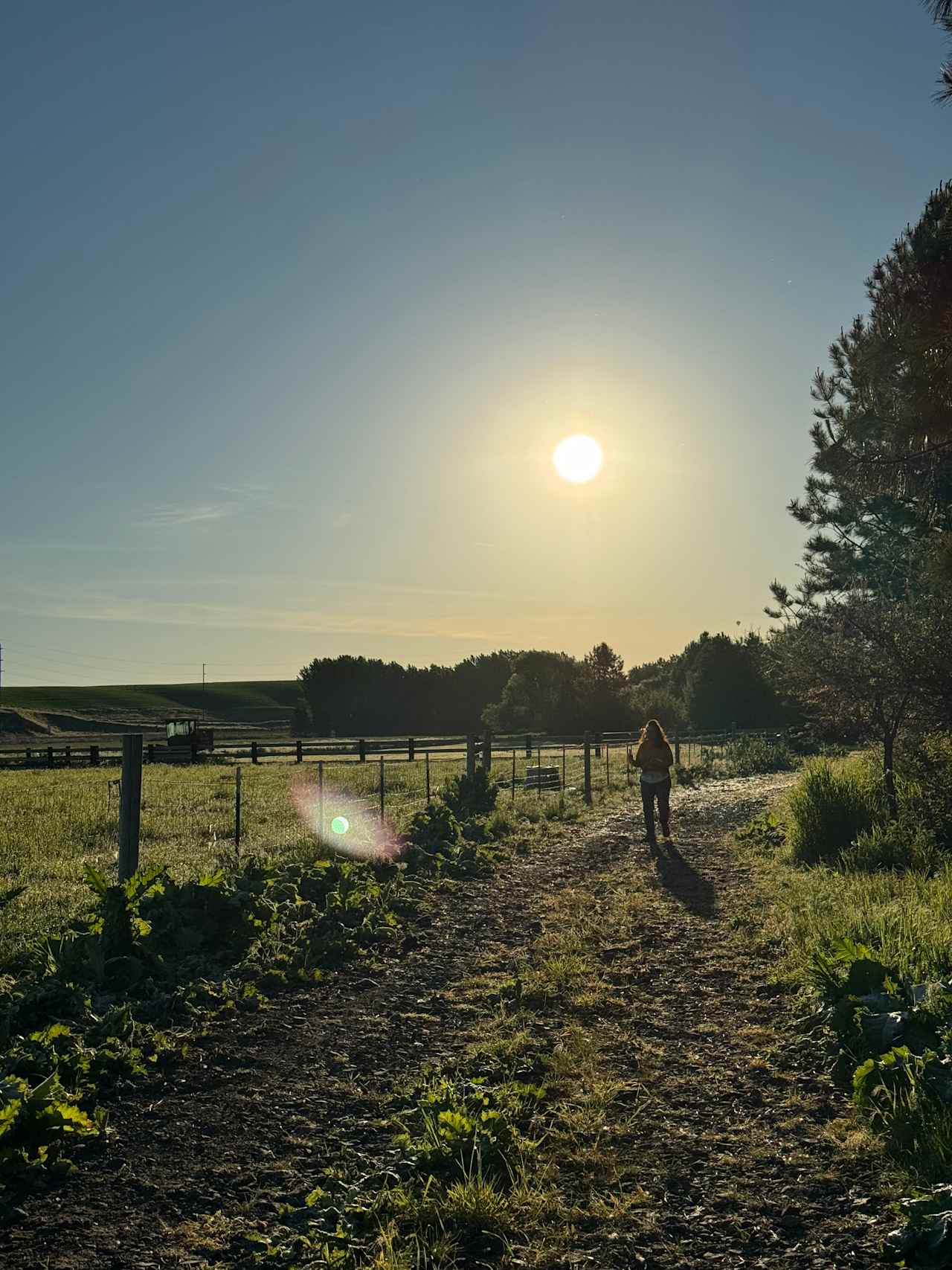 Mill Creek Farm/Park