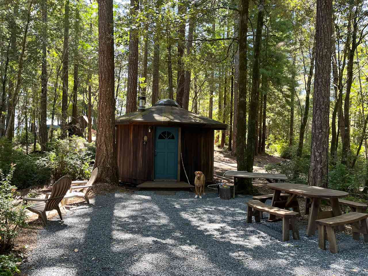 Pickle Barrel Cabin and Camp