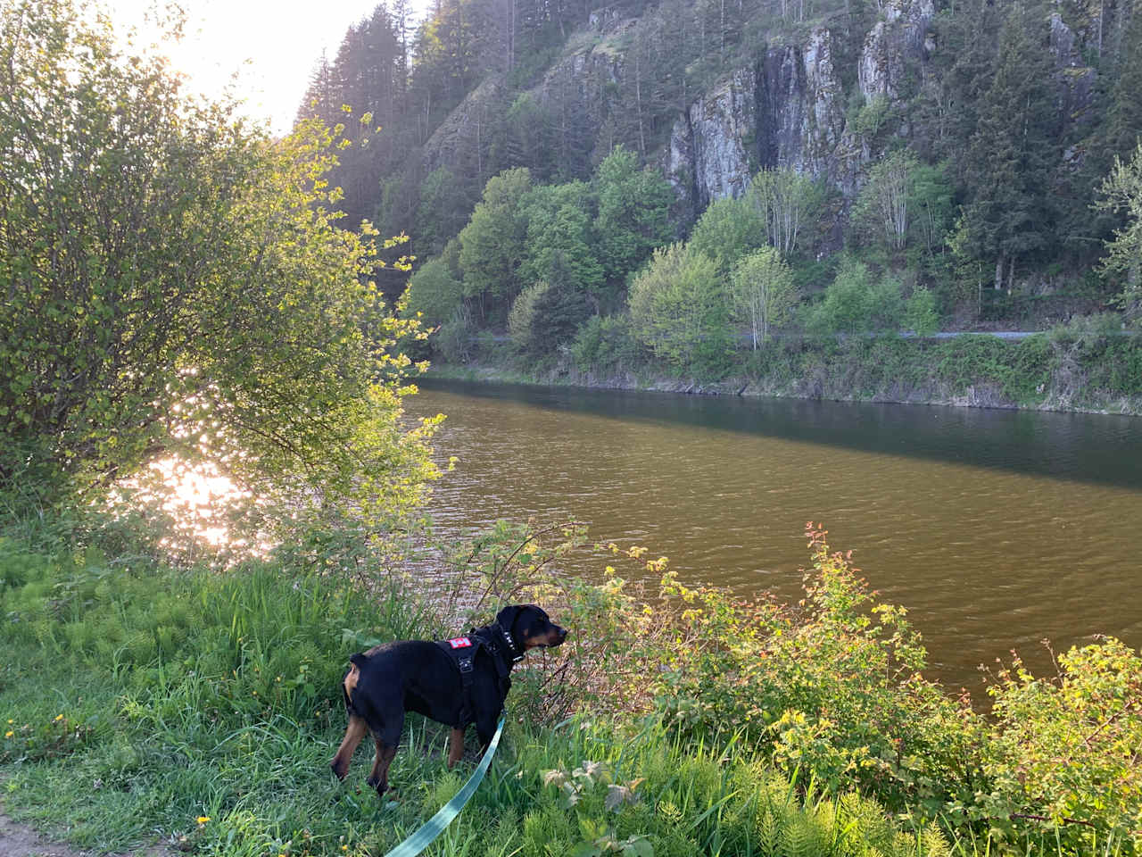 Walk along the slough