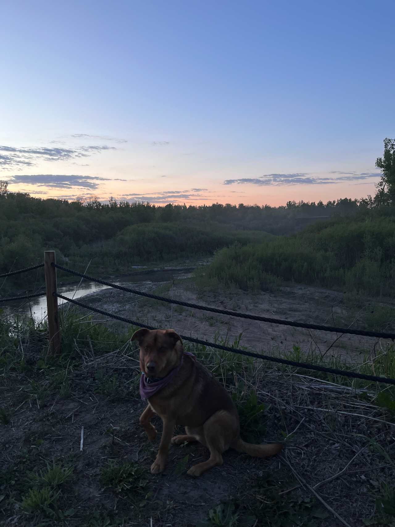 Very peaceful camp spot next to the creek