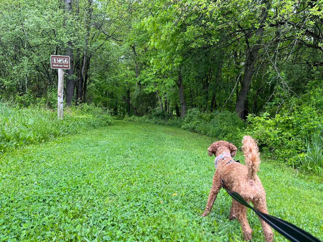 The Dominion House Farm and Trails