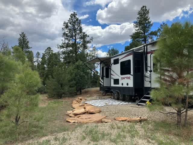 Pine Summit Forest Glamping!