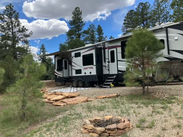 Pine Summit Forest Glamping!