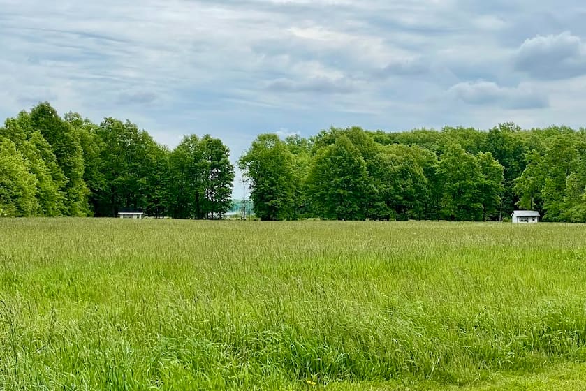 Cabin 1 is on the left and Cabin 2 is on the right in this picture. This is taken from the fence line of our pasture across the hay field that is in front of the cabins. 