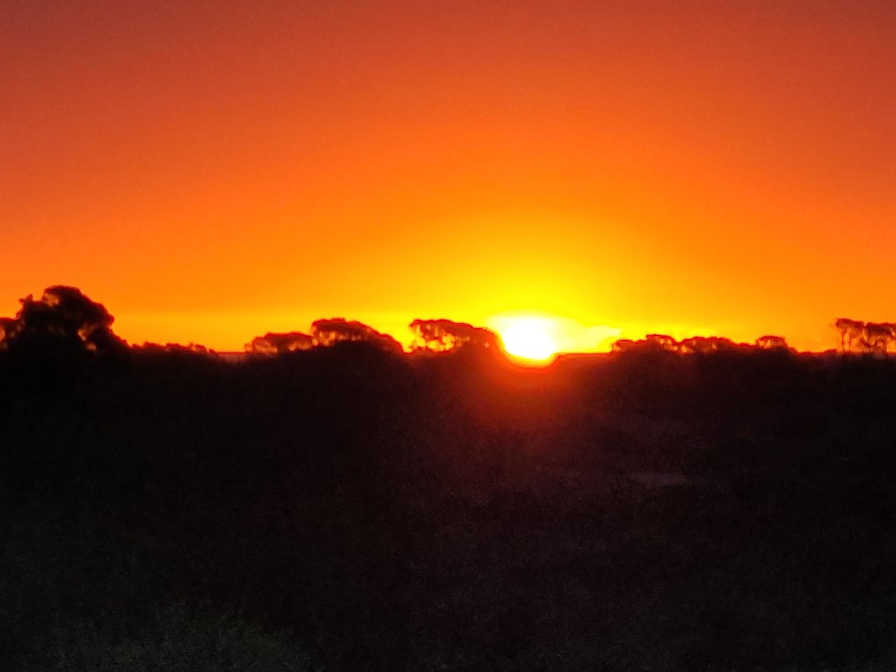 Dongara Bush Camp