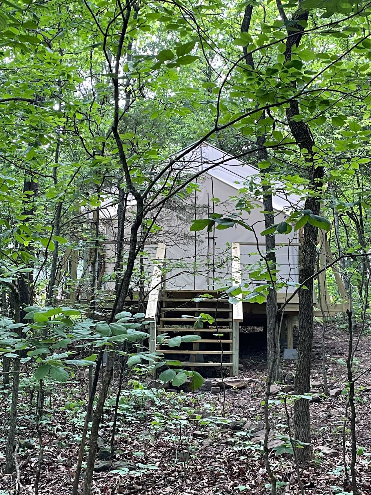 Buffalo River Glamping