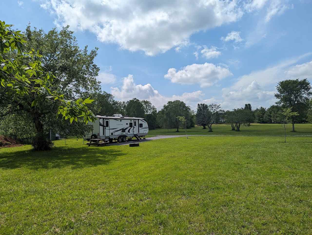 West facing view showing a big shady tree behind the RV site and plenty of wide open space to enjoy!