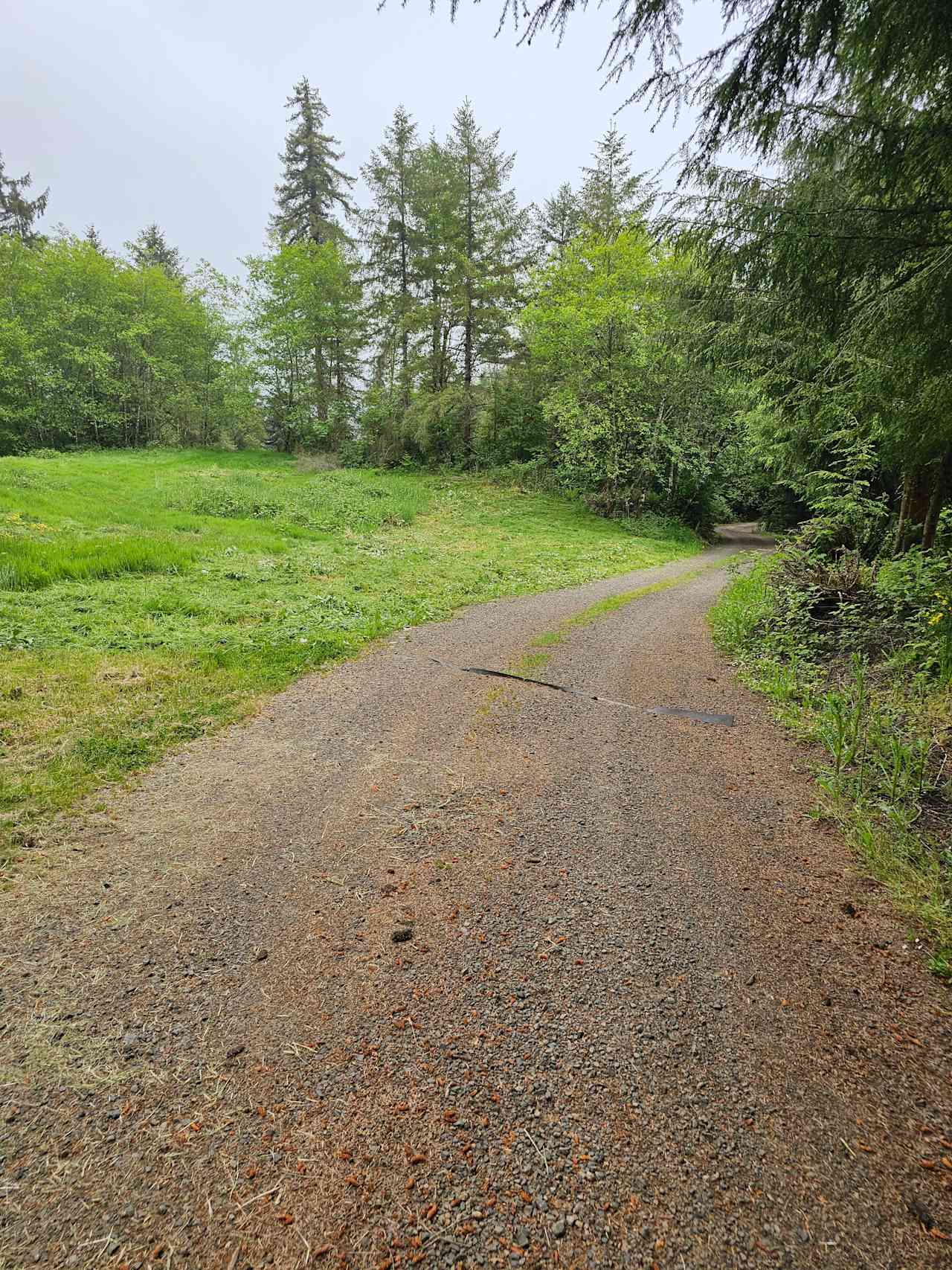 When you're coming up the driveway, this site is on the right-hand side between the driveway and site 4