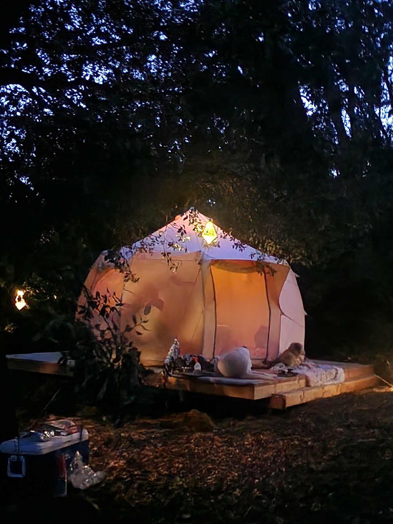 Starry Hot Tub/Cold Plunge Glamping