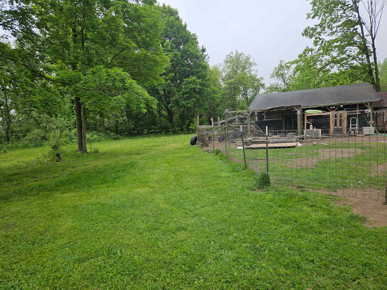 A Waggin' Good Time At Mellow Acres