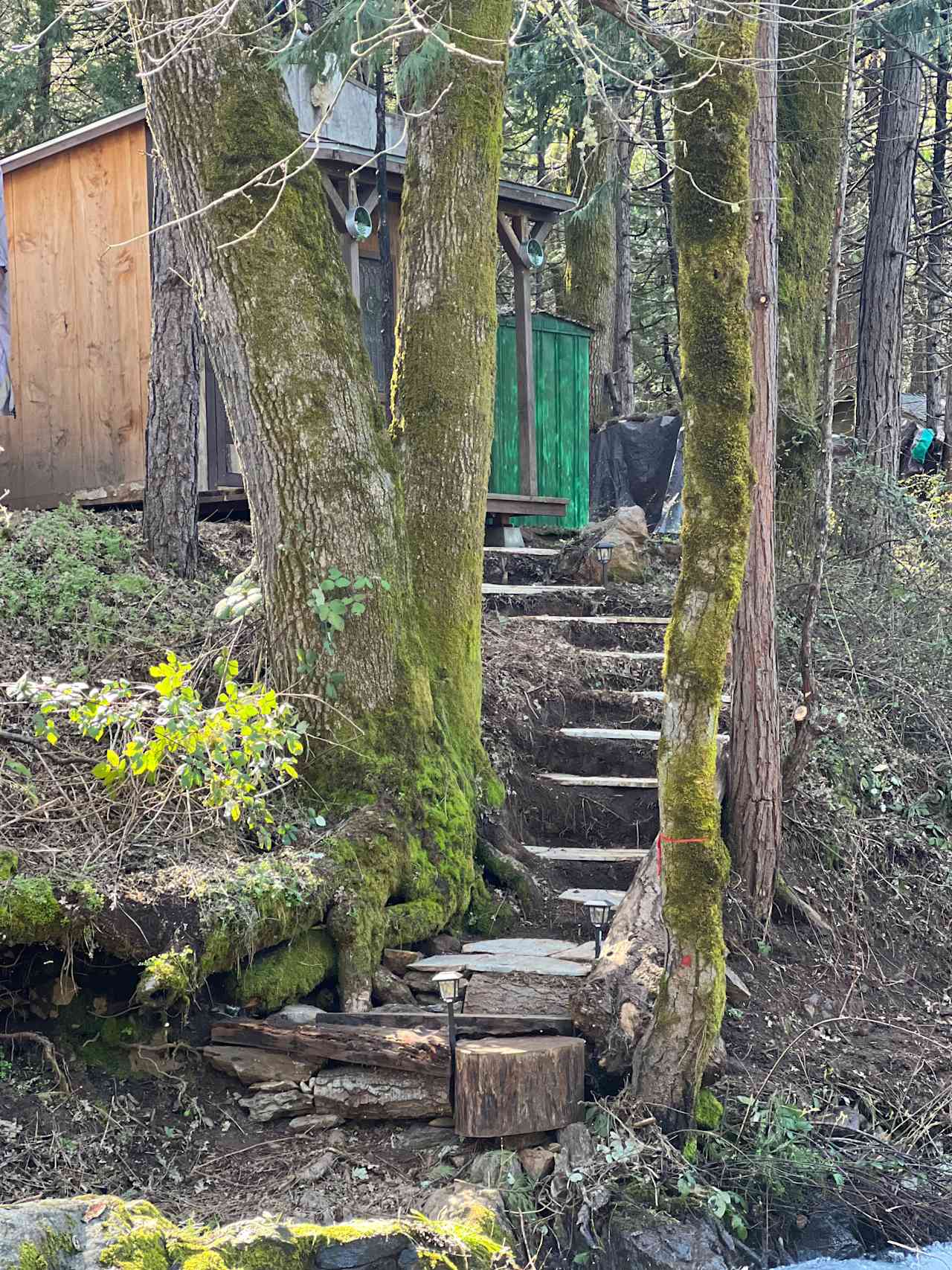 Secluded minimalist cabin