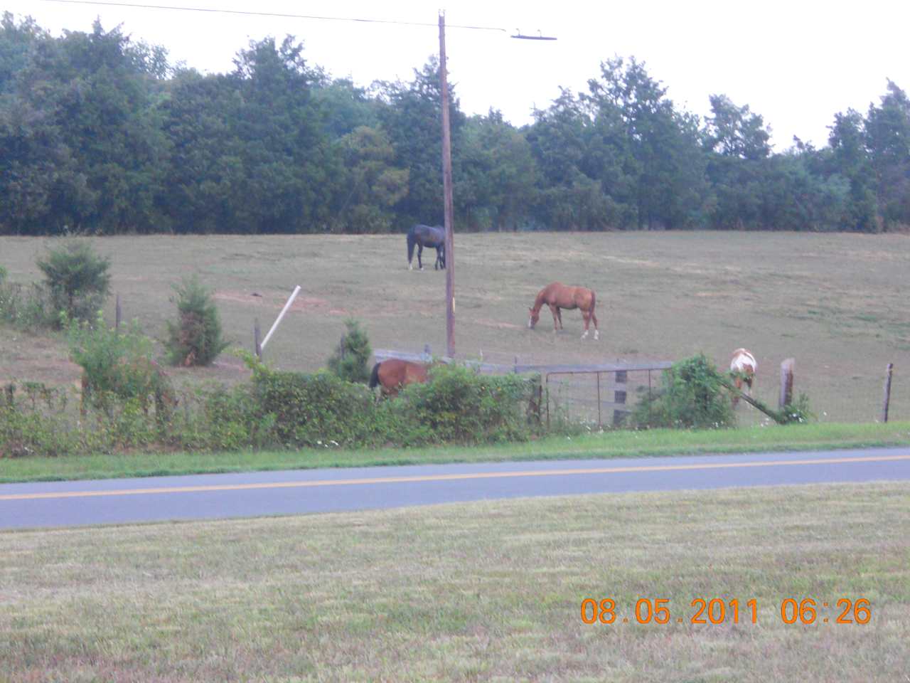 Battlefield Park Battle Of Bull Run