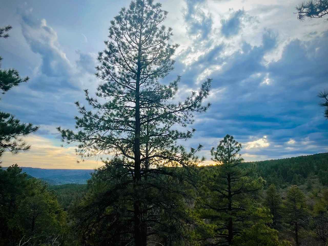 Stepping out of the camper in the evening 