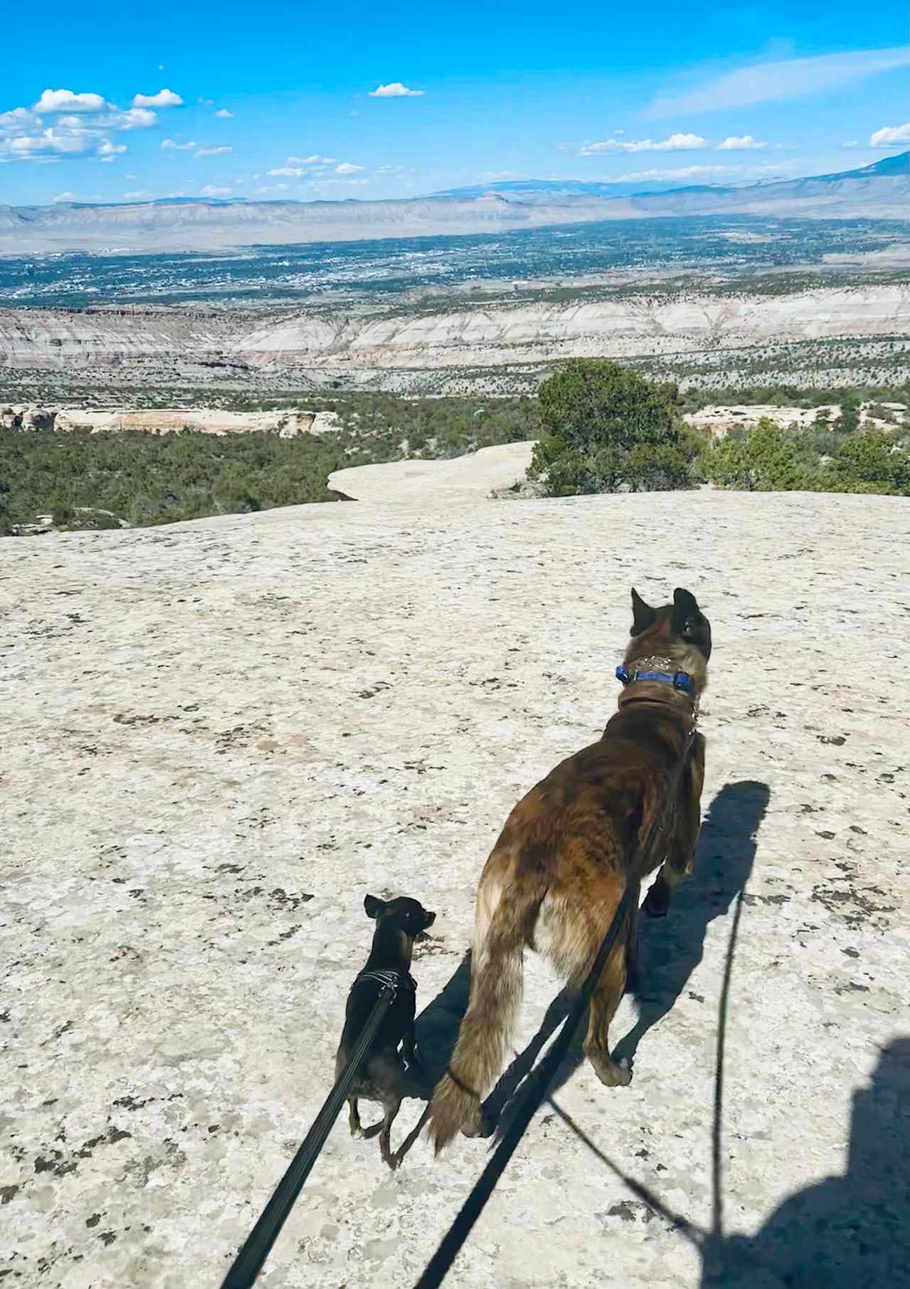 Wonderful hiking trails within walking distance from site.