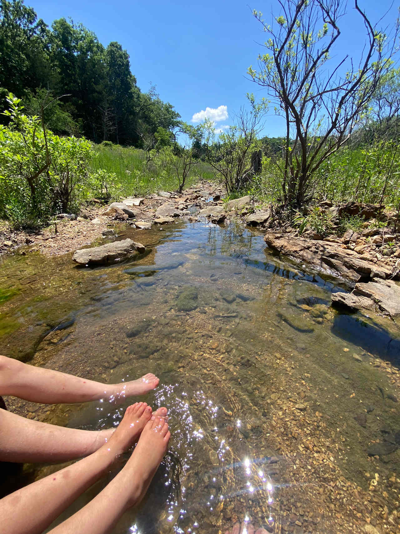 Lakefront Ozark Oasis