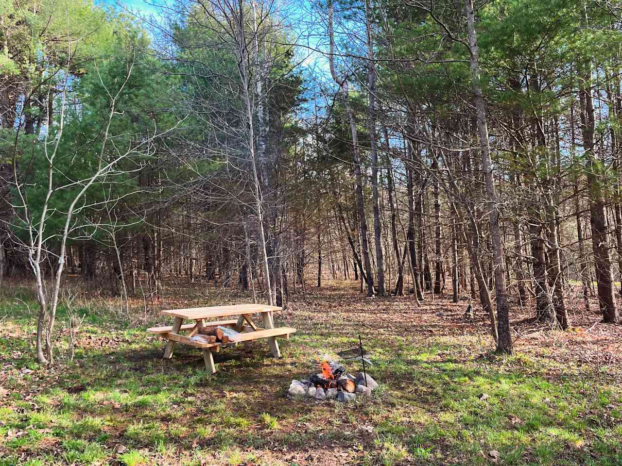 Hickory Hollow