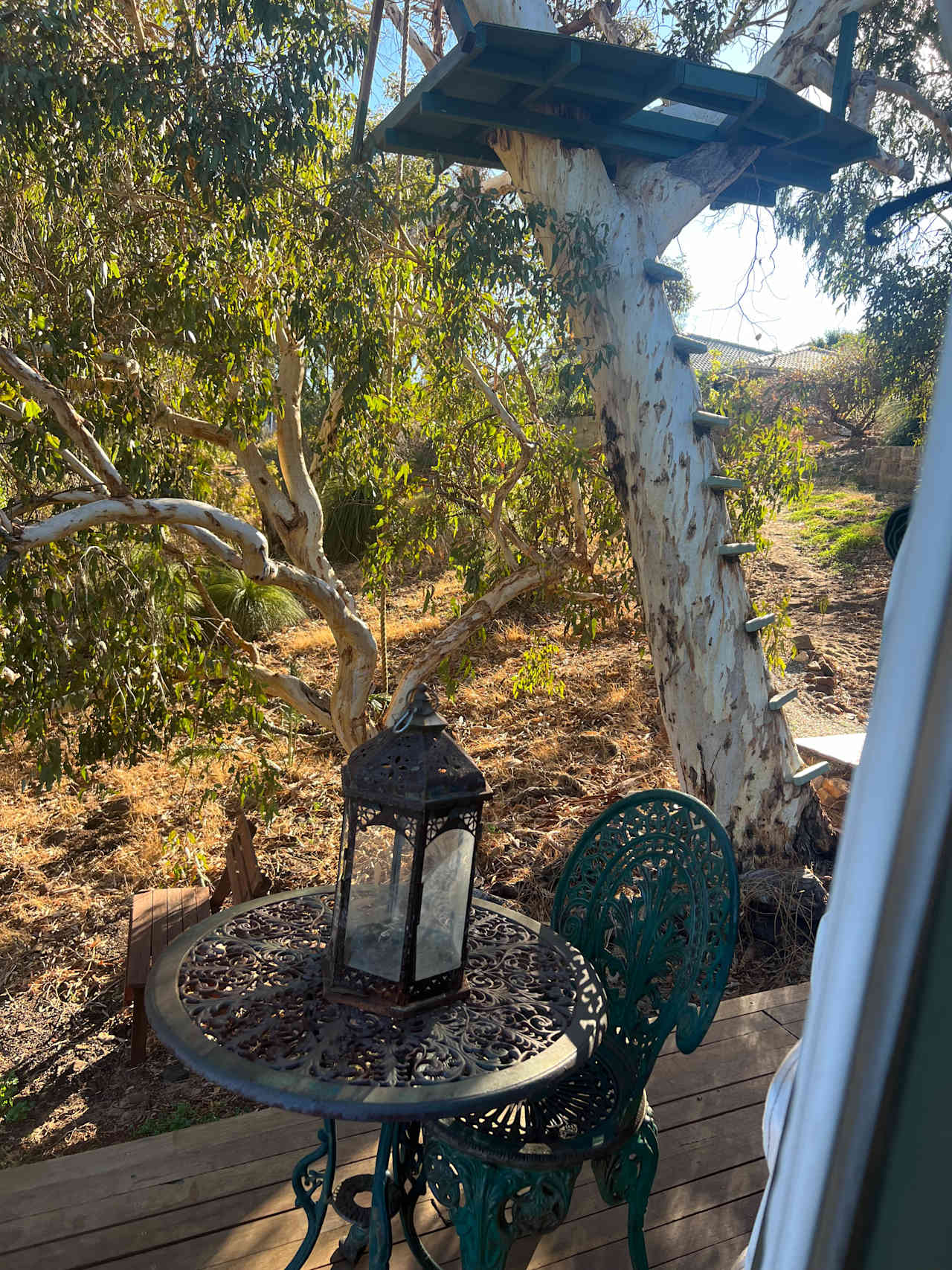 Yurt Abundance in Perth Hills