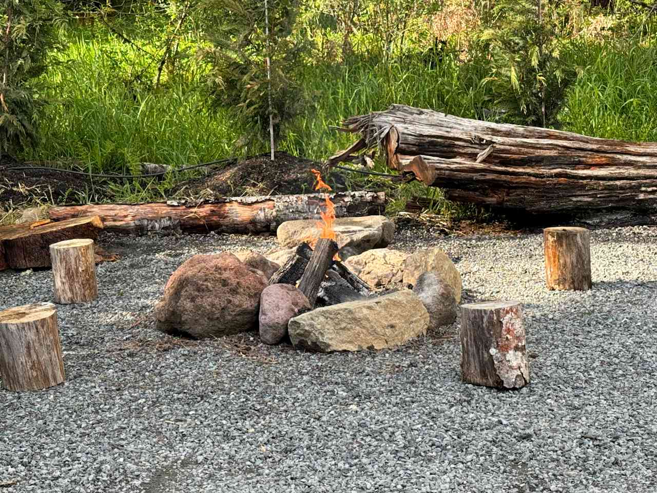 Hawk's Landing RV site @ Mt Rainier