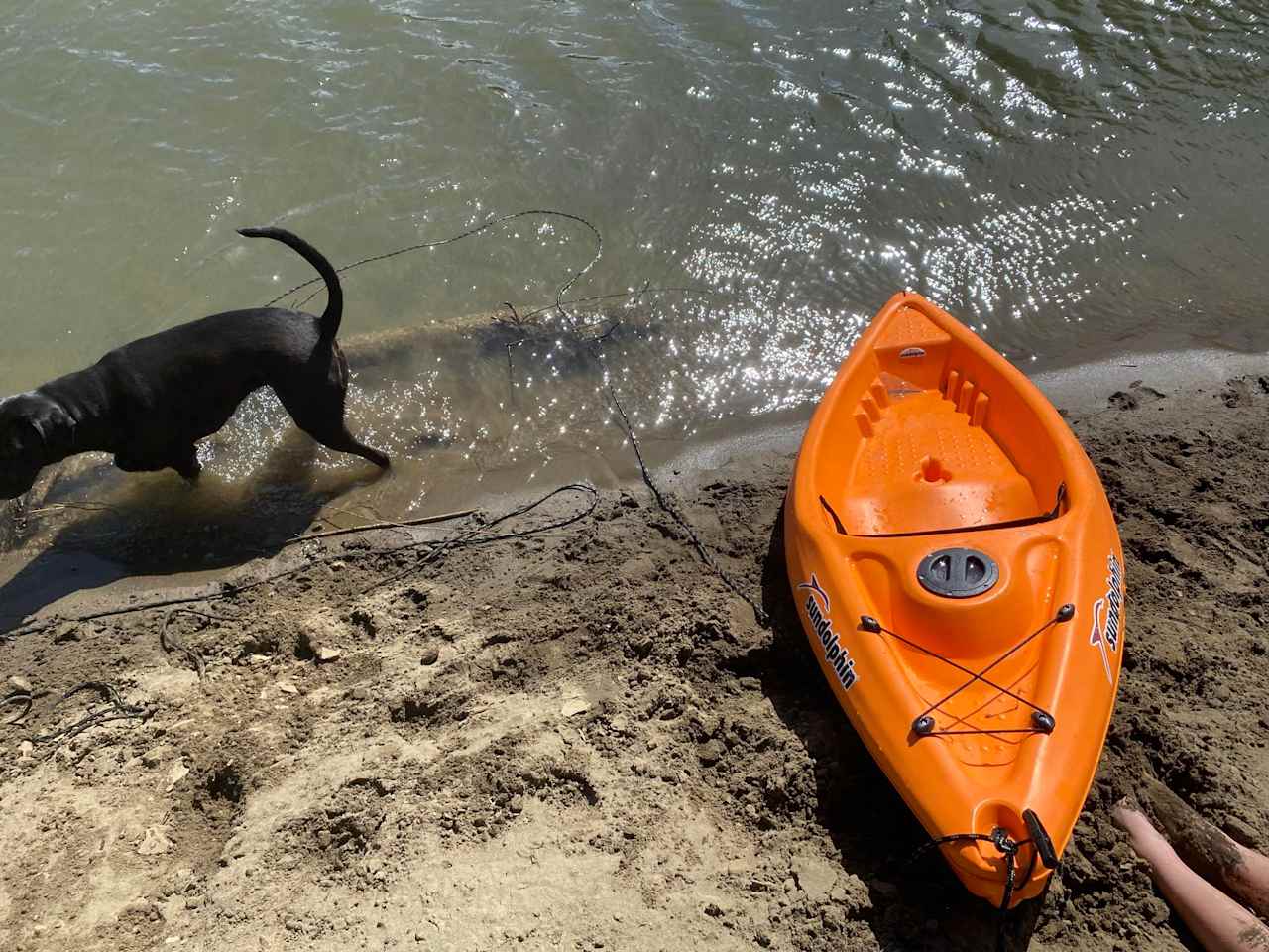 Kayak is an option to rent as well.