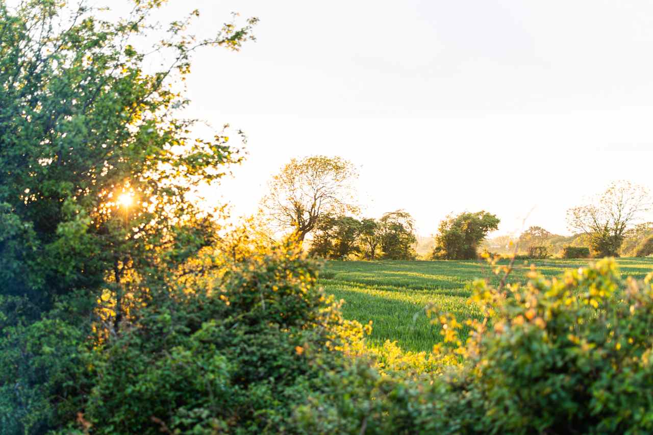 Setting sun over the adjacent fields 🌅