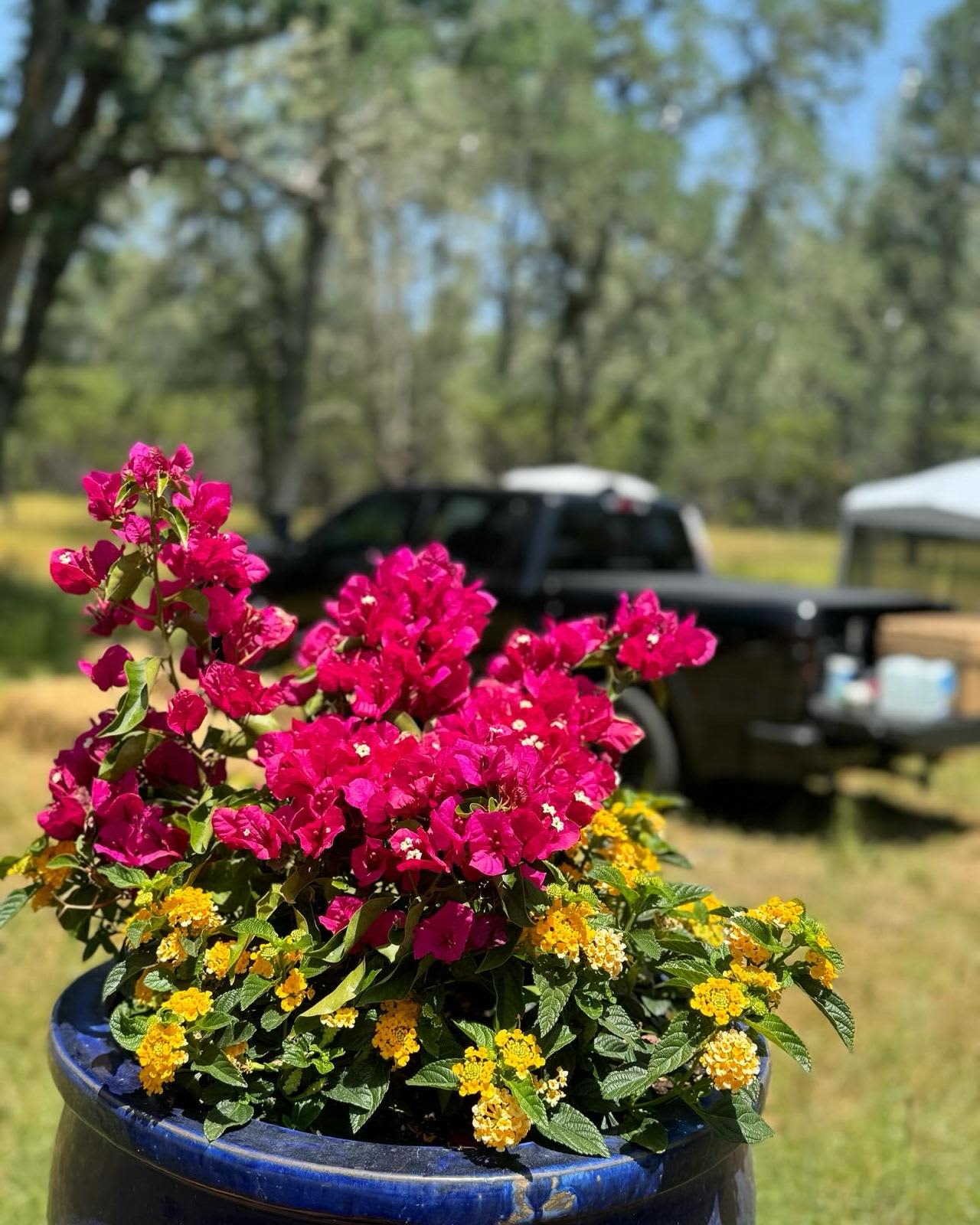 Quail Creek Ranch