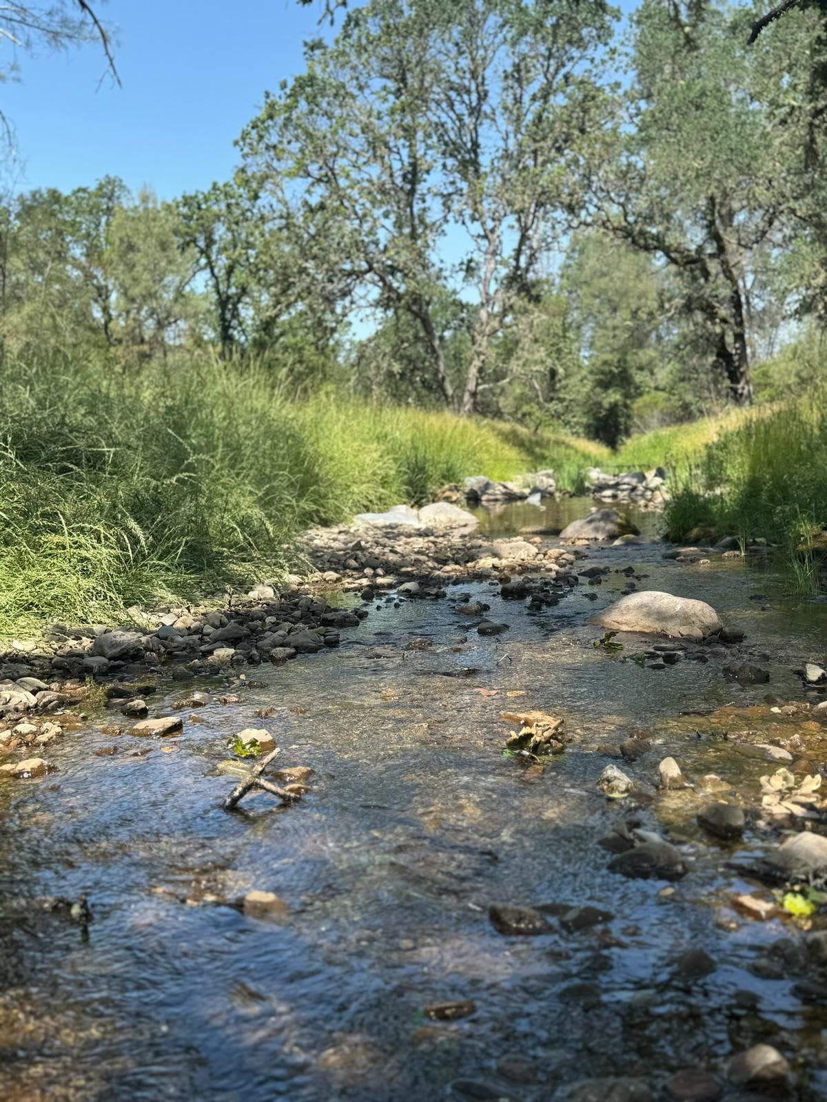 Quail Creek Ranch