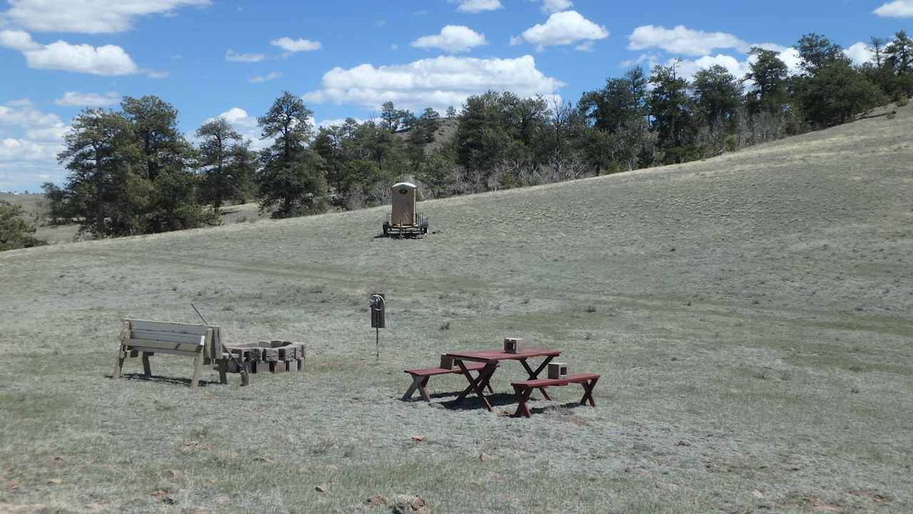 Pronghorn Oasis