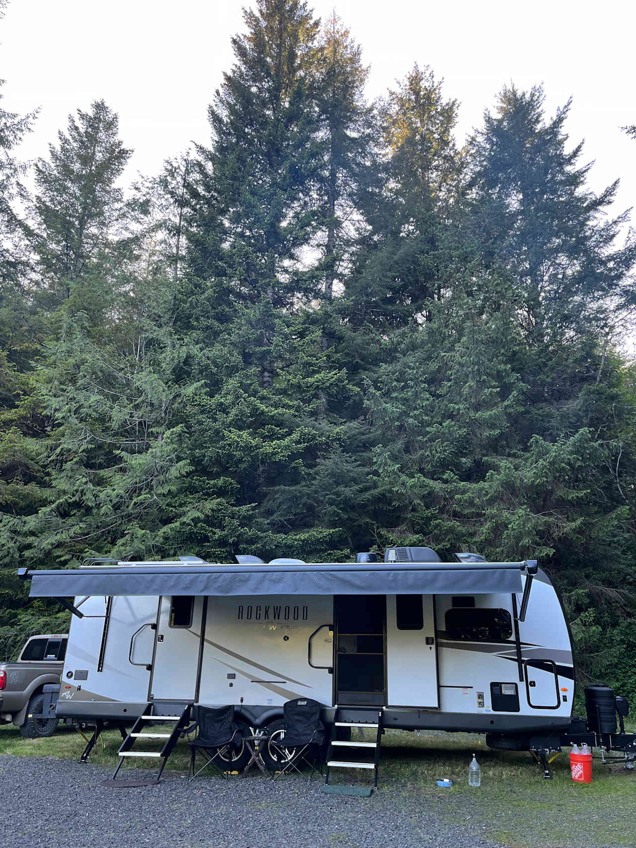 Big beautiful trees!!