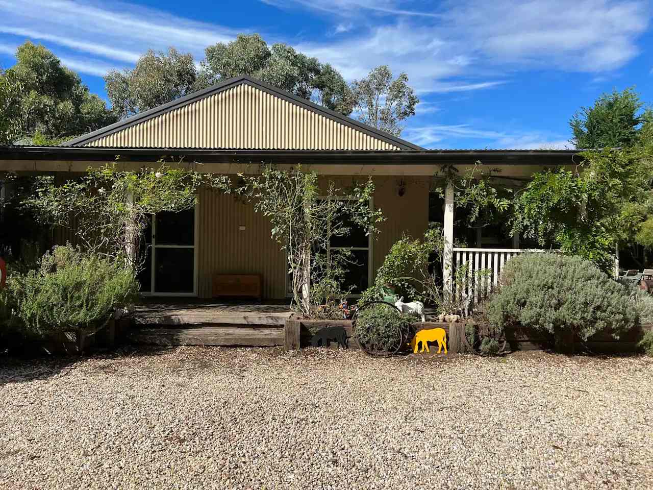 Miniature Donkey Farm Stay