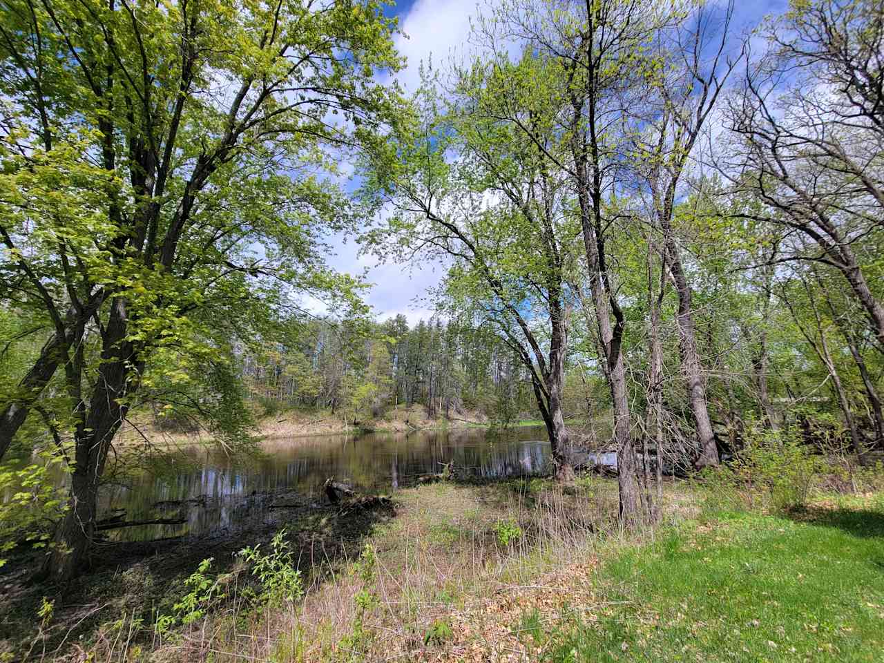 Winding Woods on Pine River