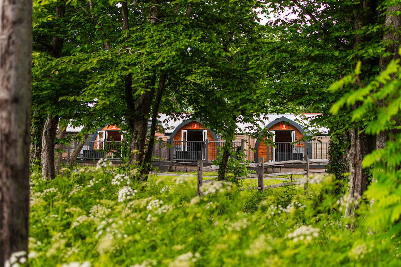 The pods seen from the road