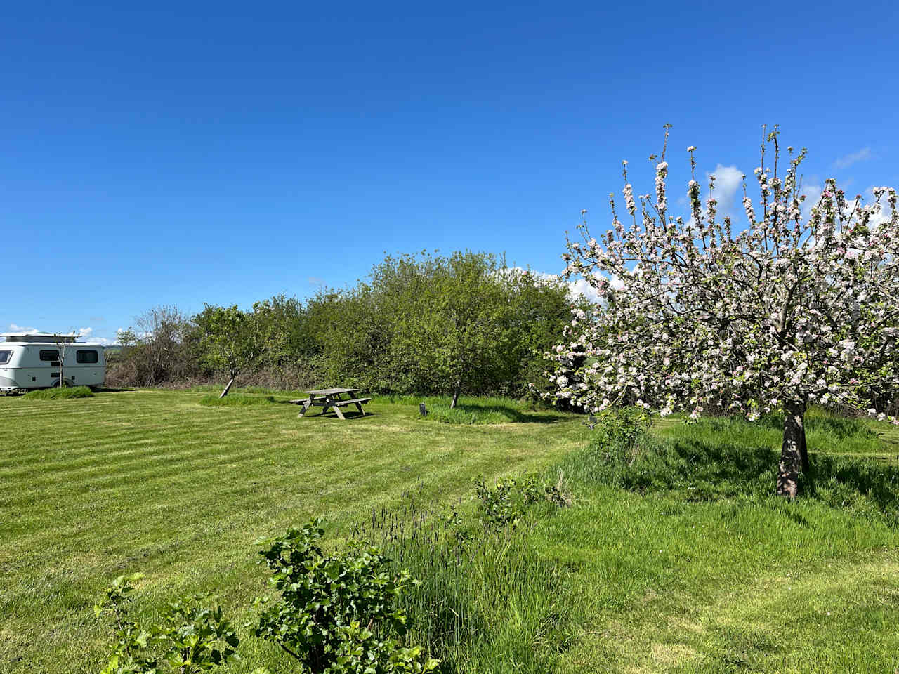 Old Bidlake Farm