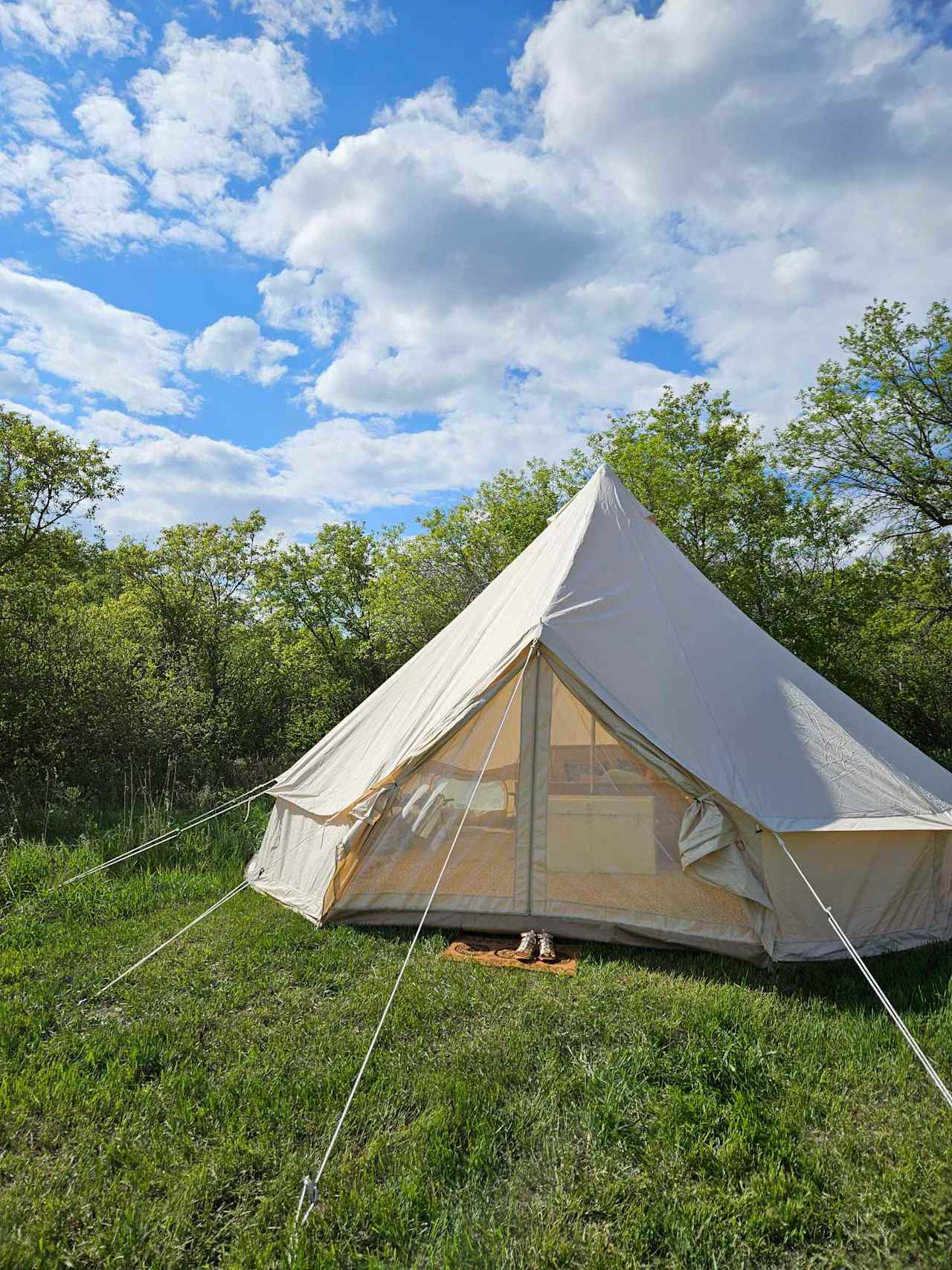 "Back 40" Bell Tent at Rottwood