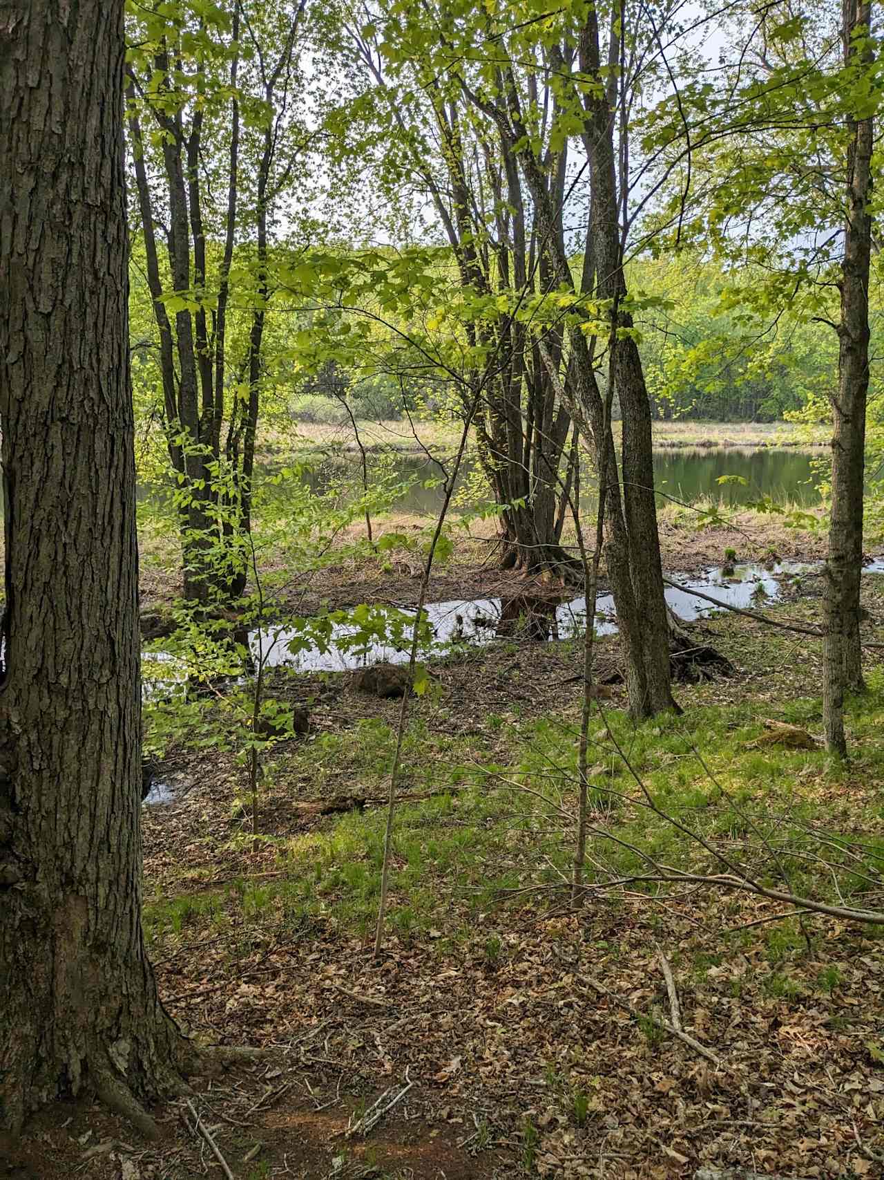 Abby's Peshtigo River Camp