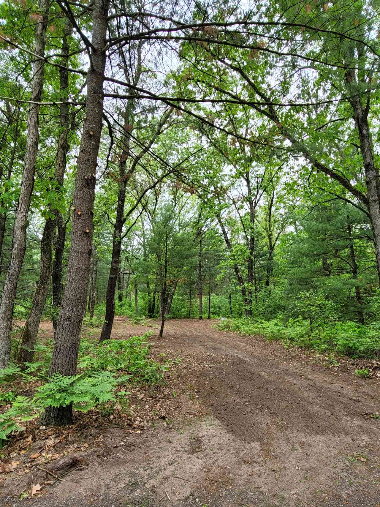 Site 4