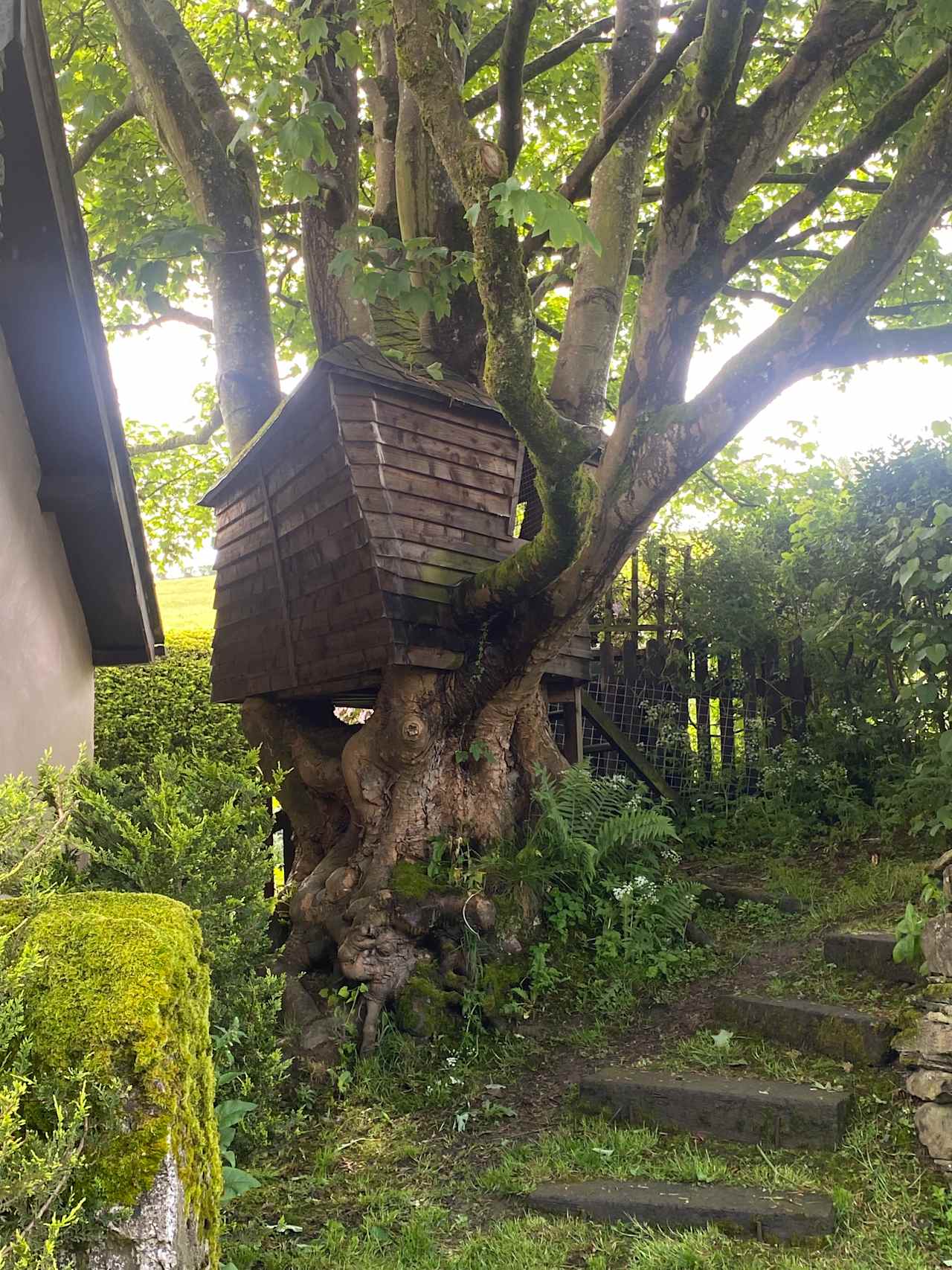 The Peacock Shepherds Hut