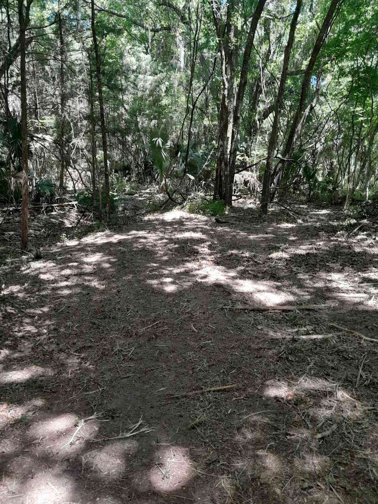 Country Acres