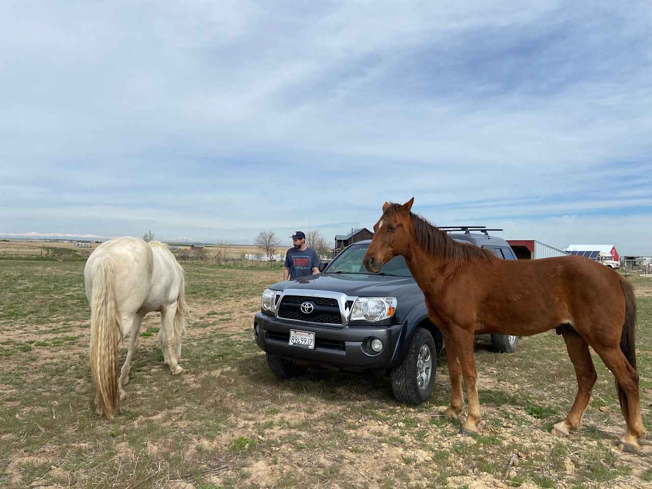 The Wrangler Ranch