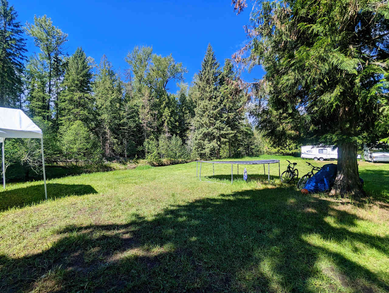 Shuswap River Oasis