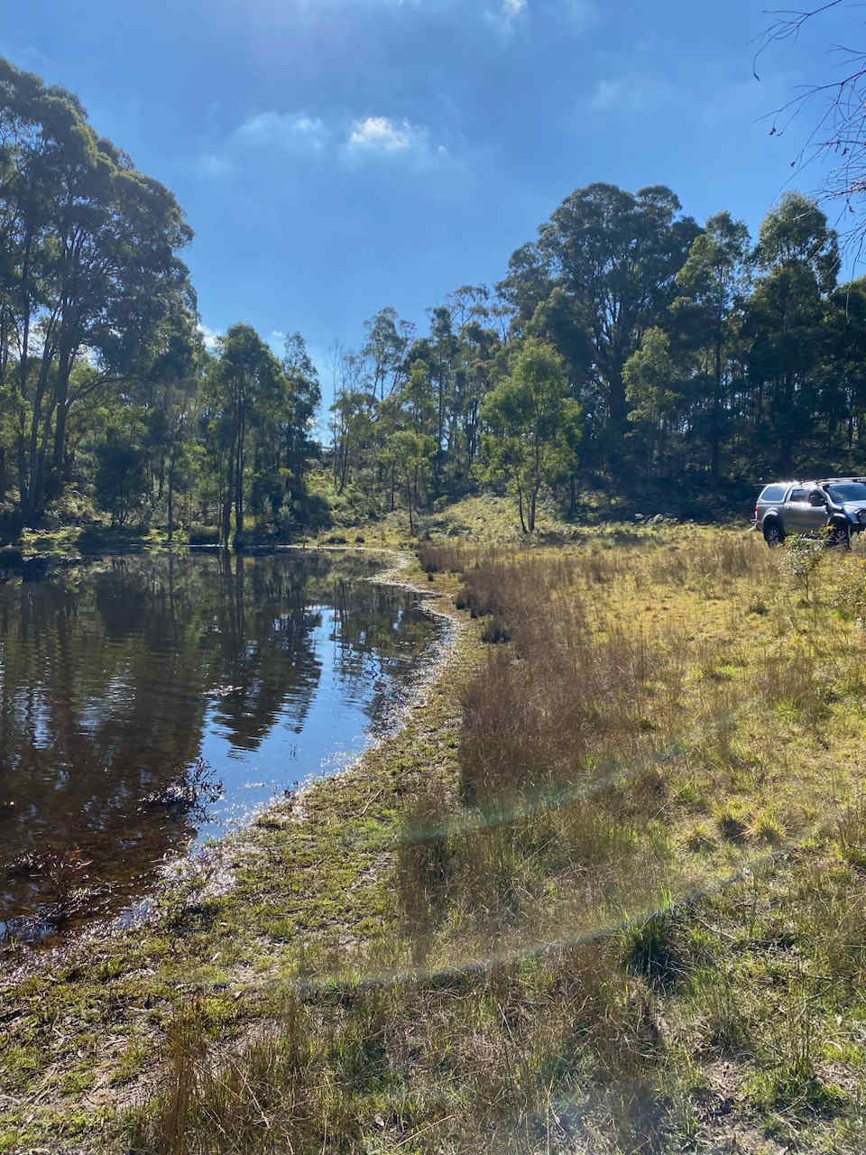 The Old Air Strip