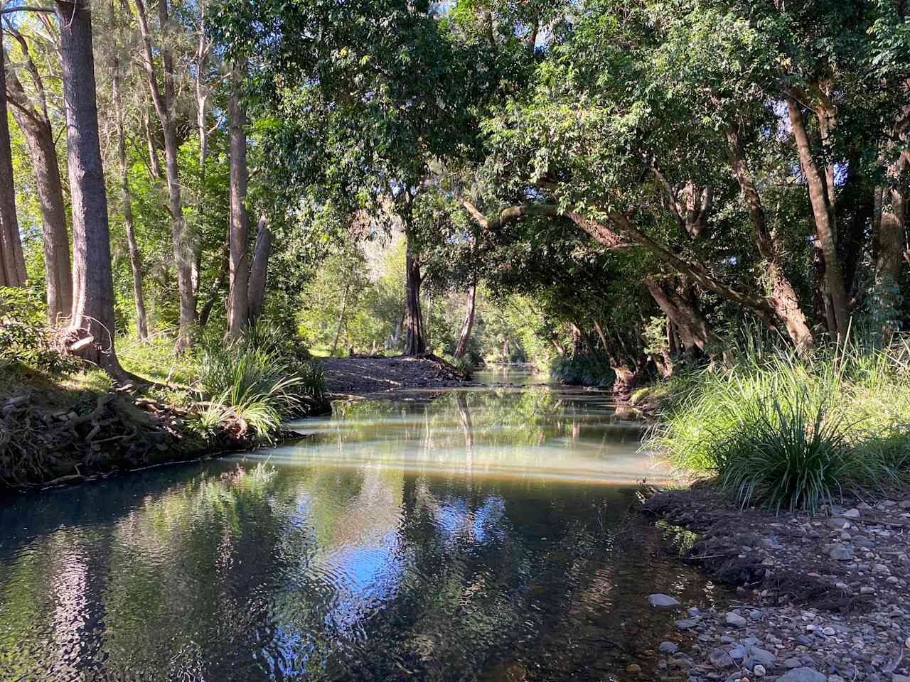 Platypus Creek