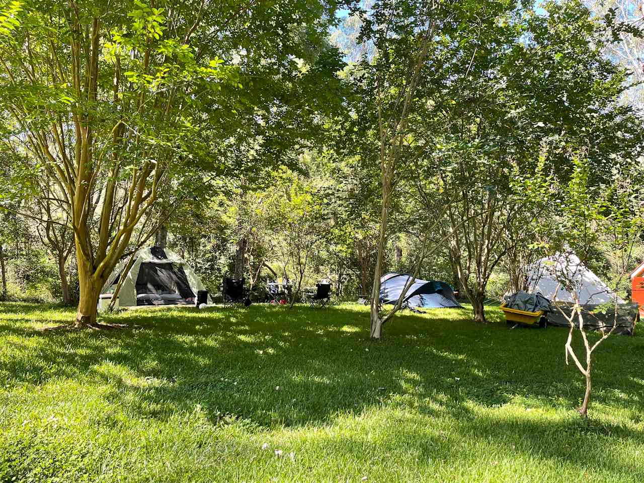 Split Yard Creek