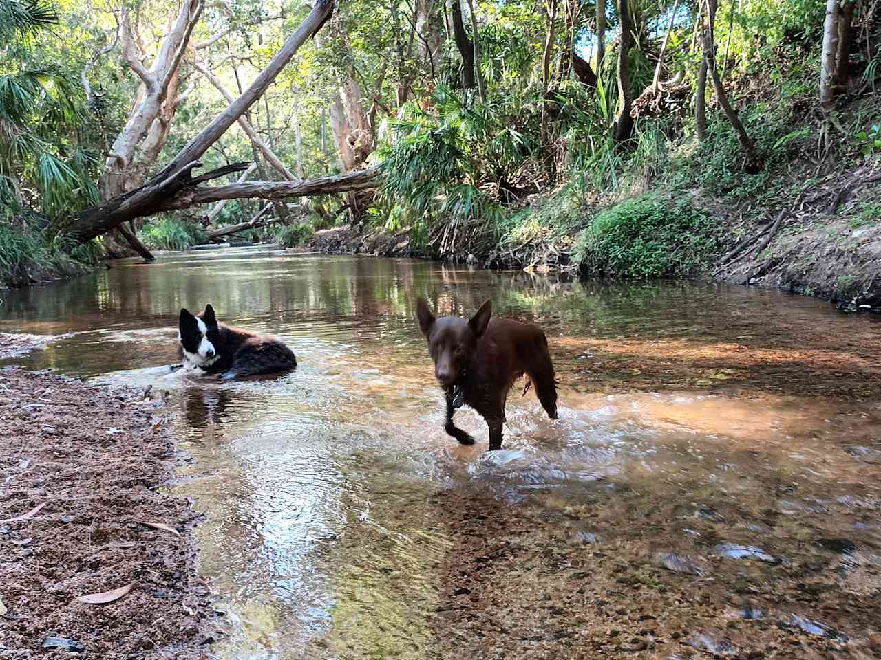 Mount Elliot Park