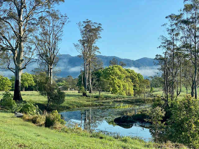 Wander down to the creek that meanders through the property to marvel at a range of waterbirds and beautiful flowering waterlilies.