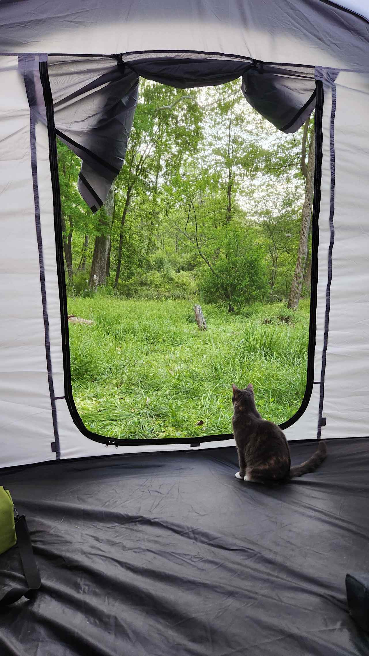 Facing the creek